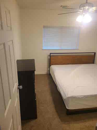 Looking for a roommate