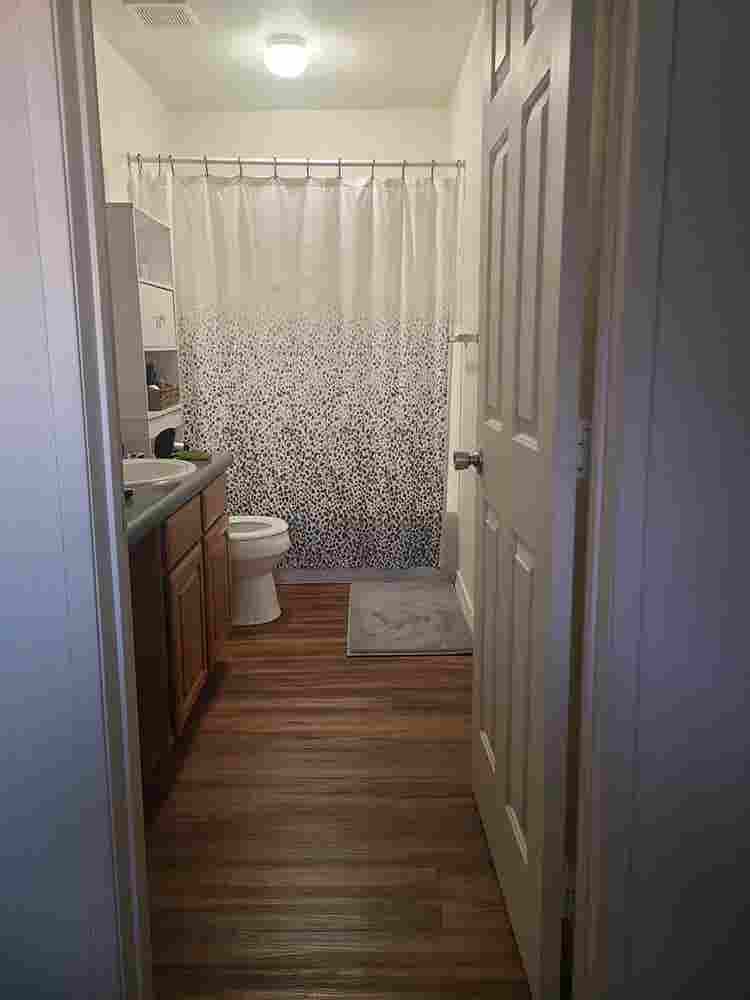 Looking for a roommate