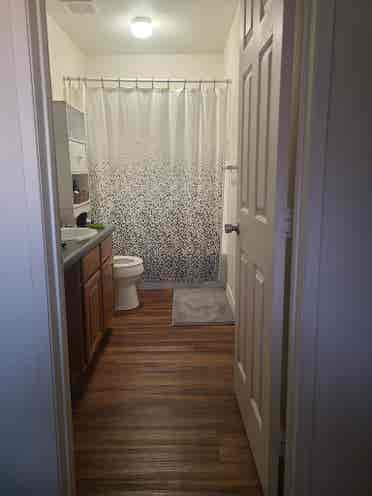Looking for a roommate