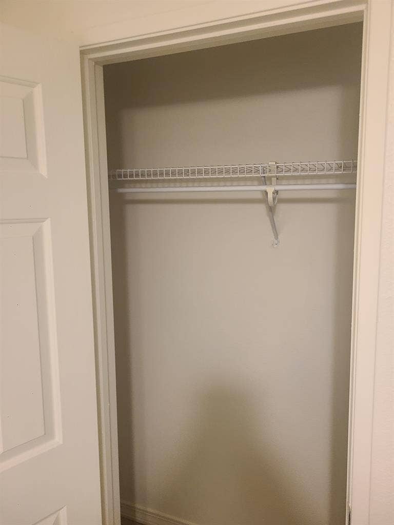 Looking for a roommate