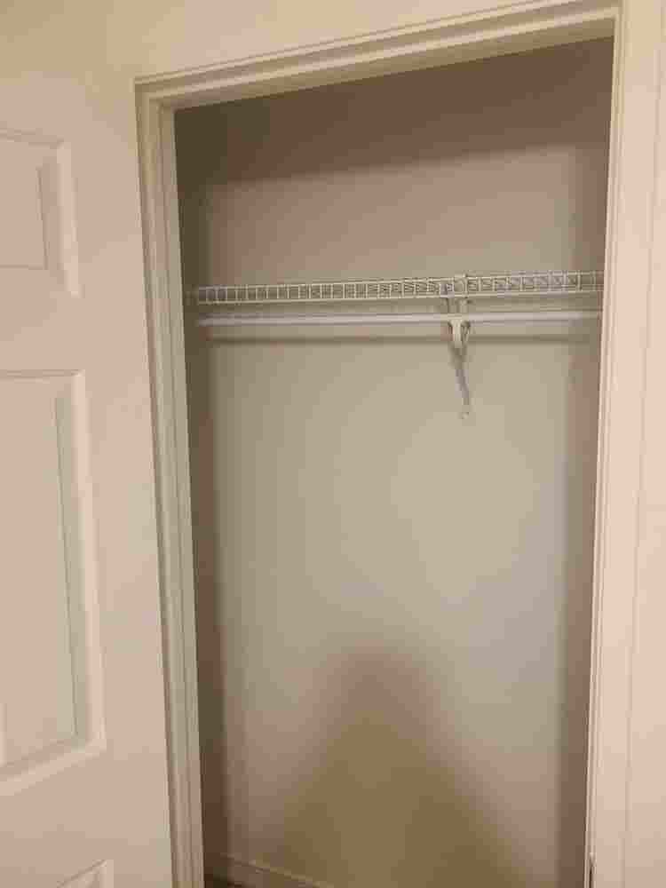 Looking for a roommate