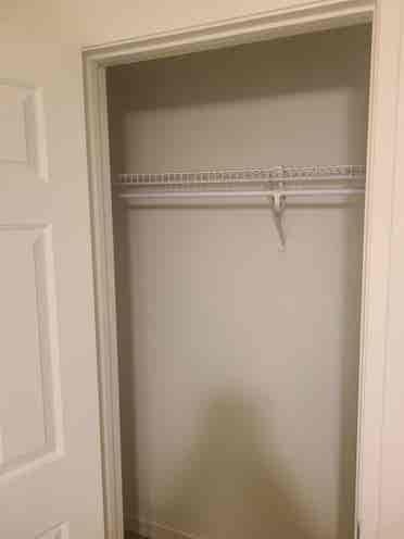 Looking for a roommate