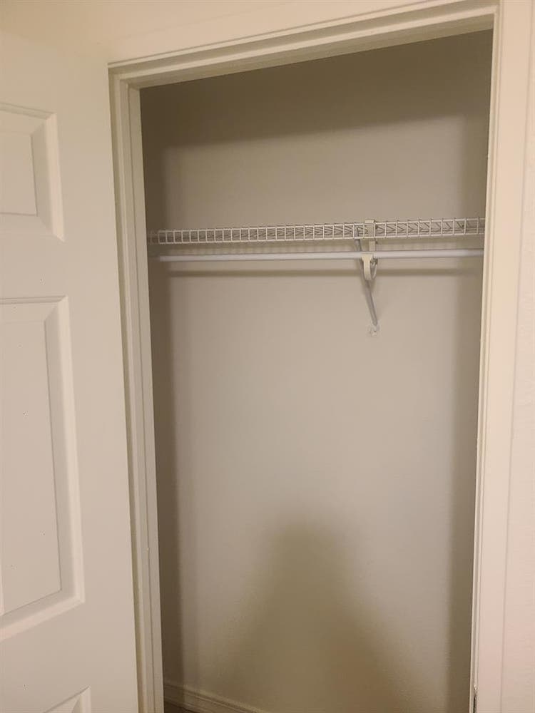 Looking for a roommate