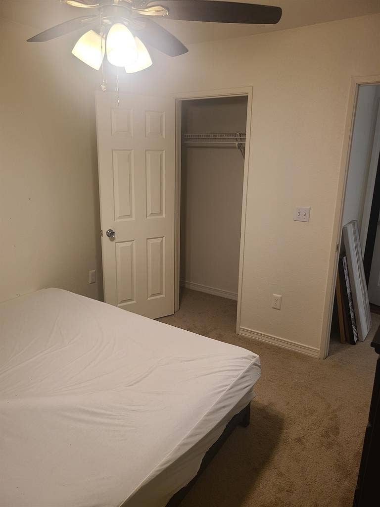 Looking for a roommate