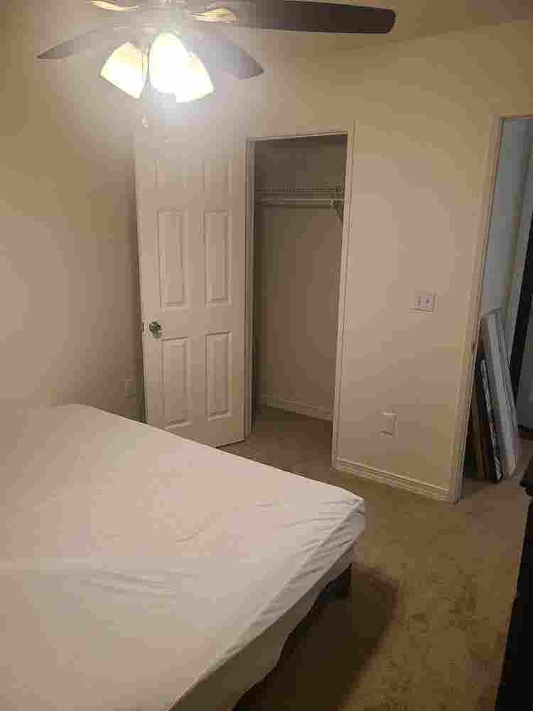 Looking for a roommate
