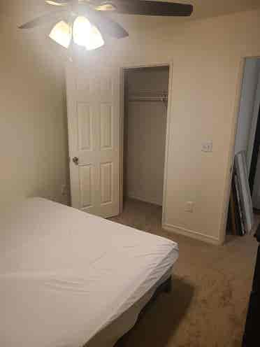 Looking for a roommate