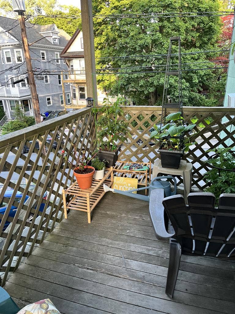 Brighton $840- 9/1. 1 Rm in 3 Rm