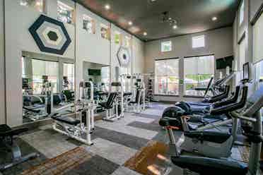 Spacious luxury room for rent