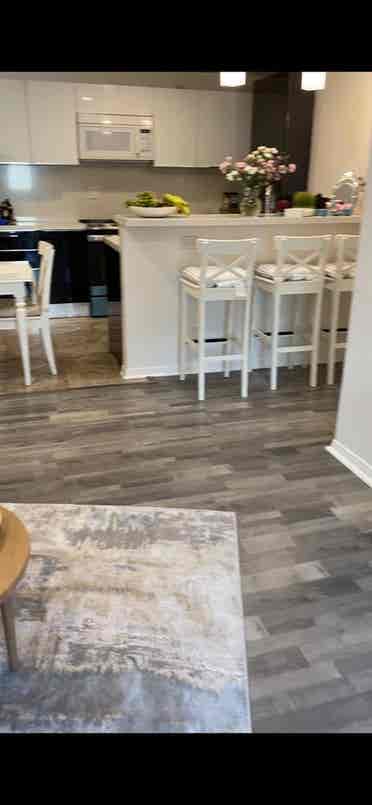fully furnished condo for rent