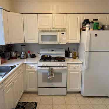 Furnished apt in Morris Plain