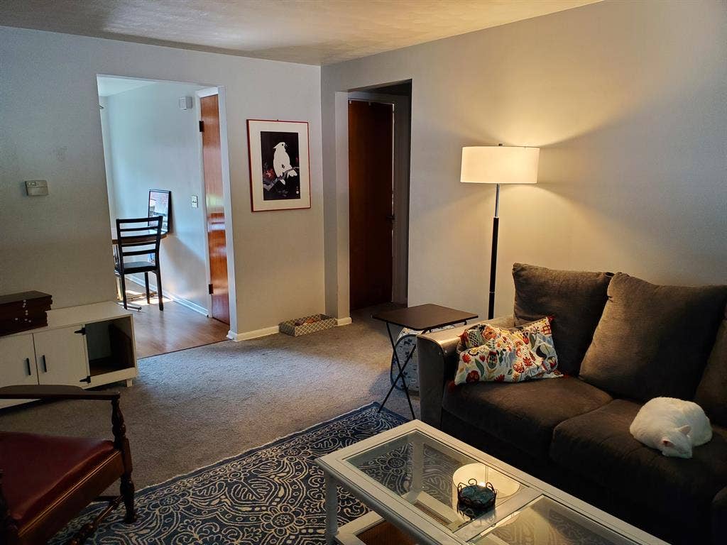 Seeking Roommate in Deerhurst Area