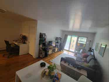 Private Room in Spacious Apartment