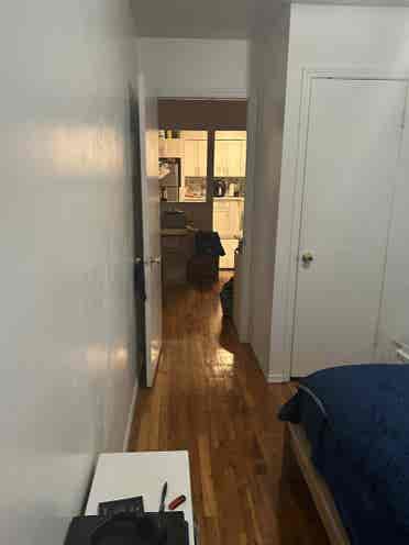 Private Room in Spacious Apartment