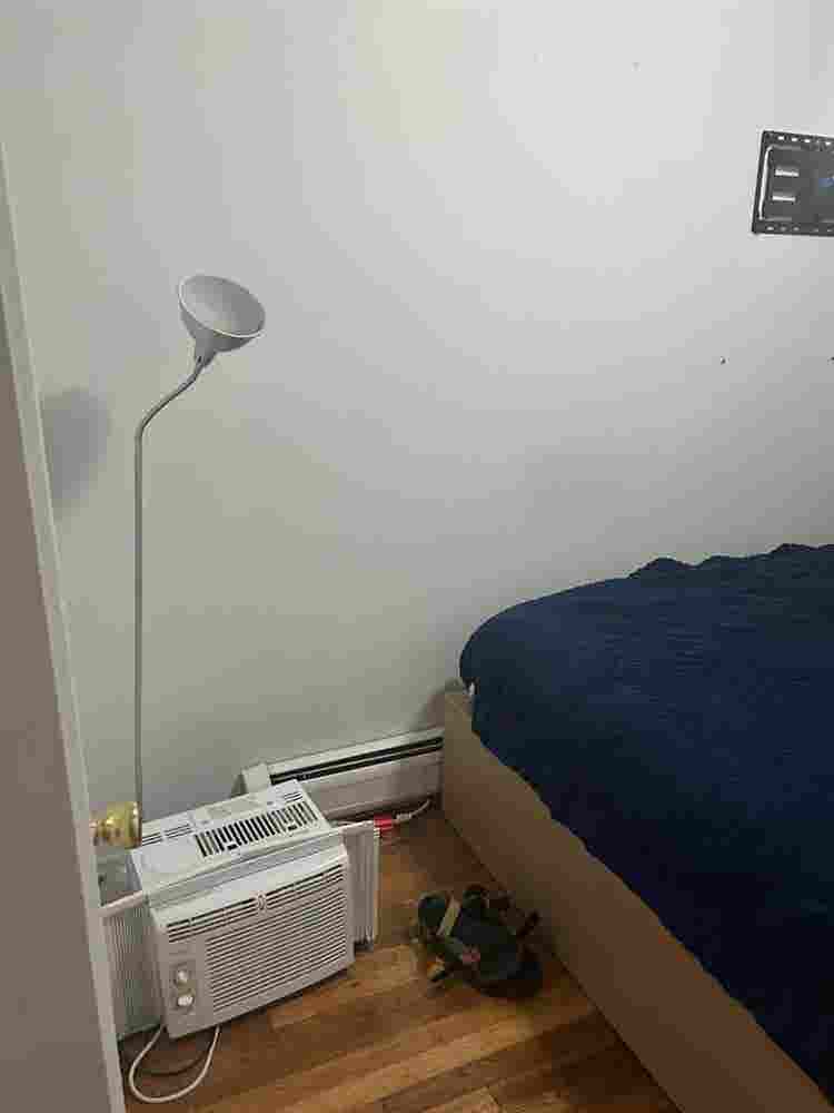Private Room in Spacious Apartment