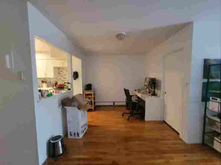 Private Room in Spacious Apartment
