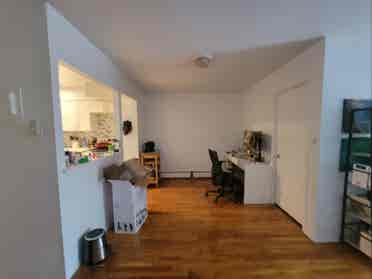 Private Room in Spacious Apartment