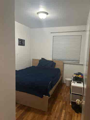Private Room in Spacious Apartment