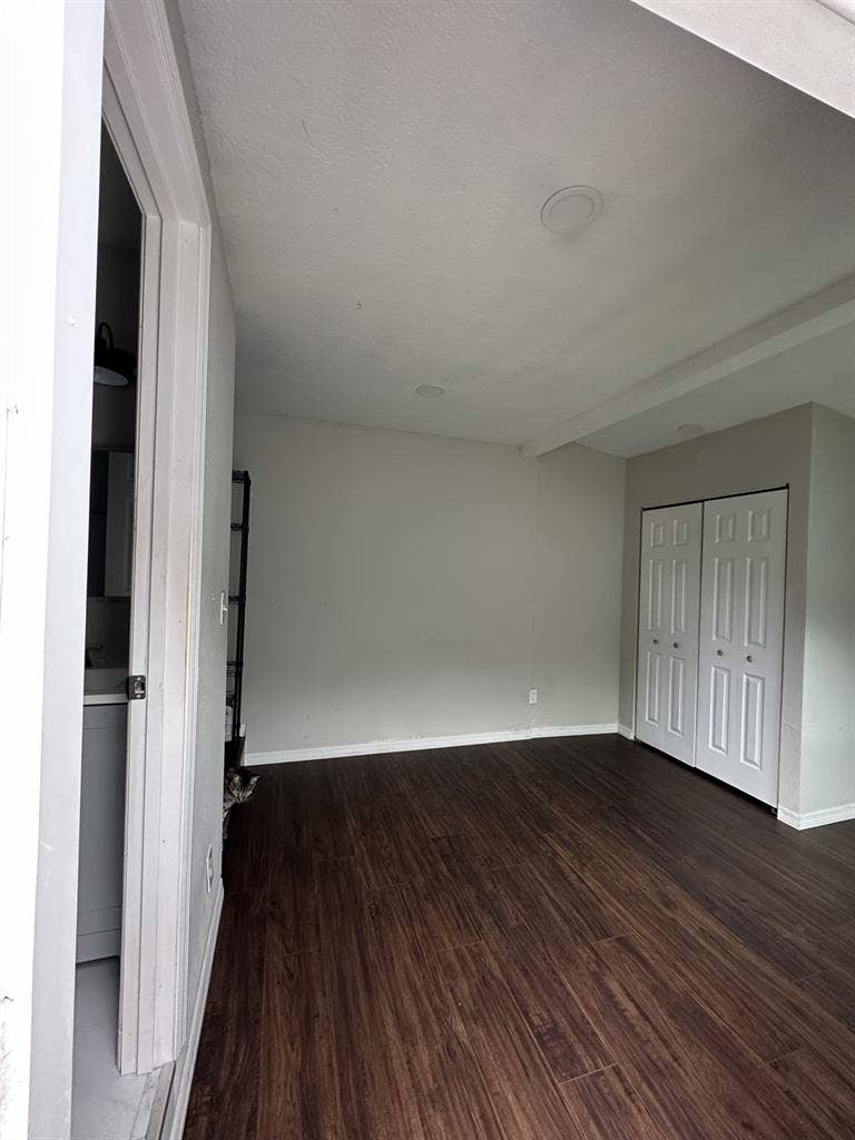 Room for rent by usf