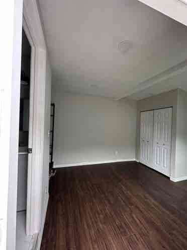 Room for rent by usf