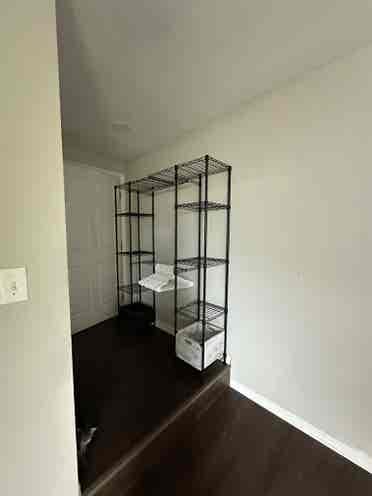 Room for rent by usf