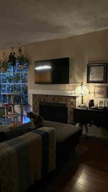 Room for rent near UCI