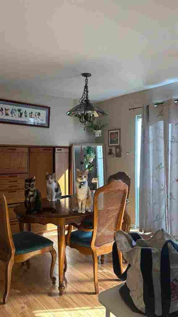 Room for rent near UCI