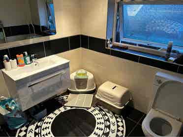 We are looking for flatmate