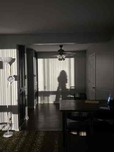 Female roommate