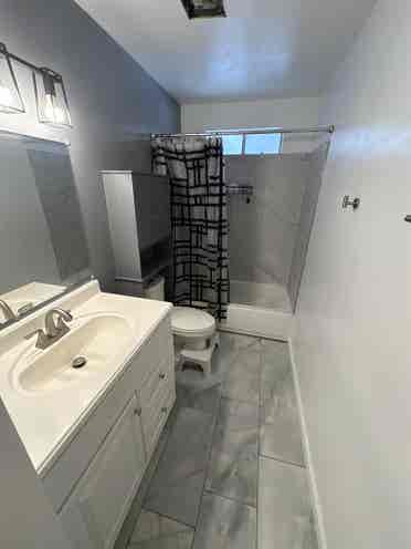 Roommates needed.