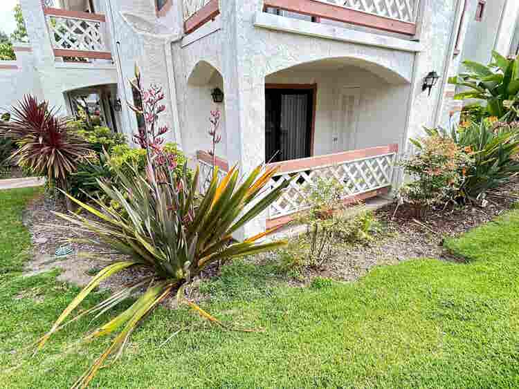 Move-In Ready - Rancho PQ