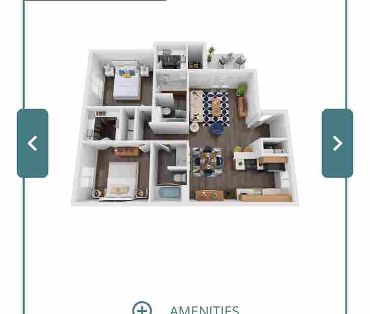 Looking for a roommate