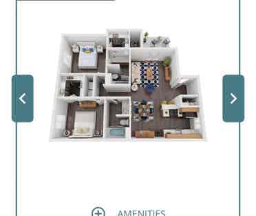 Looking for a roommate