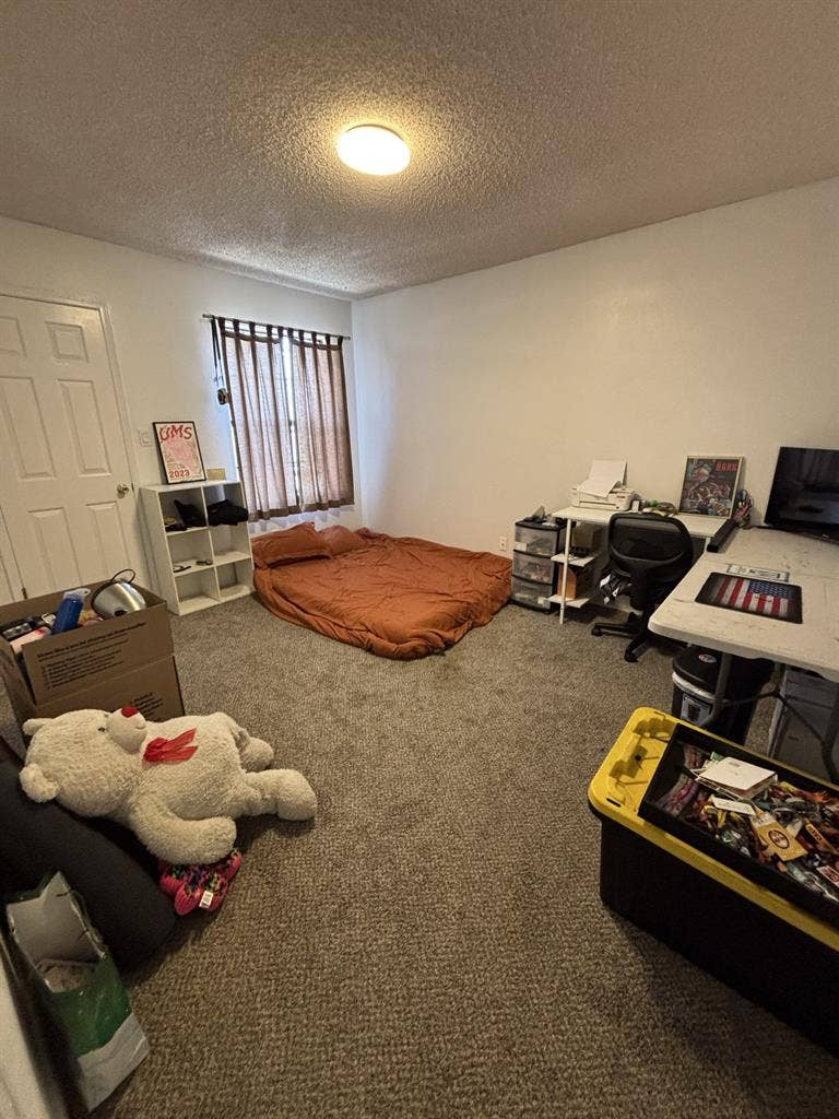 Room for rent on Westside