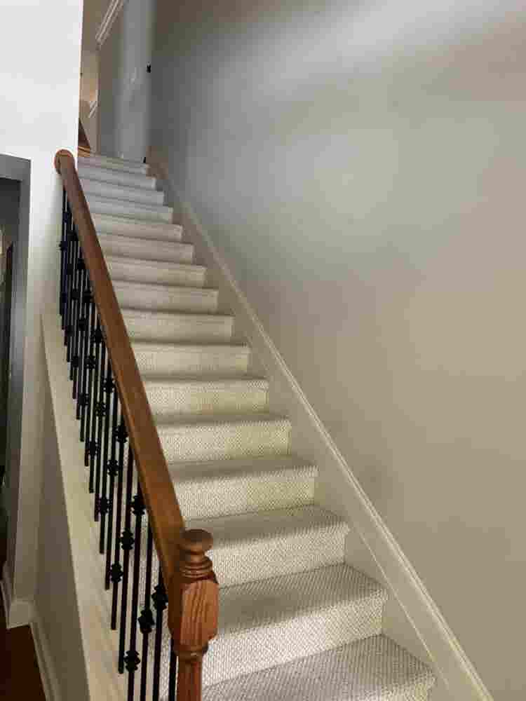 SEEKING THE PERFECT ROOMATE