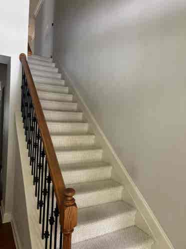 SEEKING THE PERFECT ROOMATE