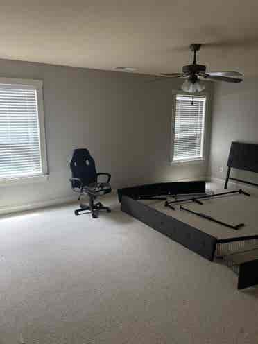 SEEKING THE PERFECT ROOMATE