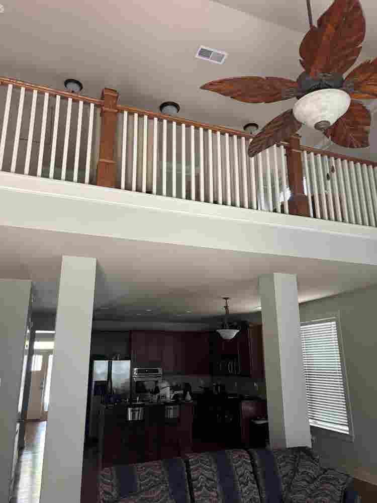 SEEKING THE PERFECT ROOMATE