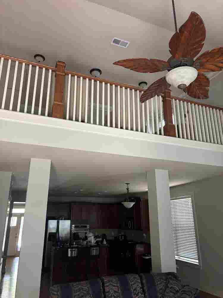 SEEKING THE PERFECT ROOMATE