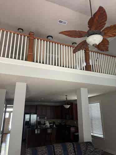 SEEKING THE PERFECT ROOMATE