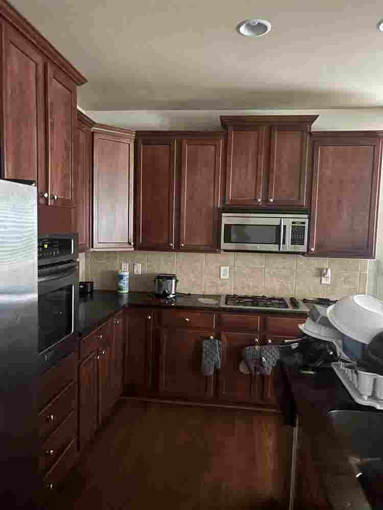 SEEKING THE PERFECT ROOMATE