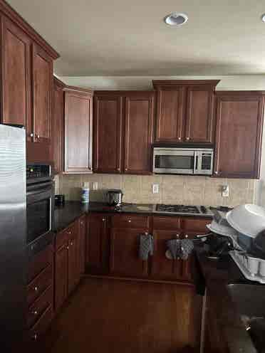 SEEKING THE PERFECT ROOMATE