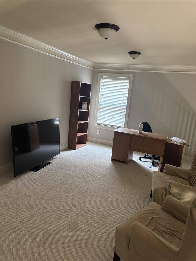 SEEKING THE PERFECT ROOMATE