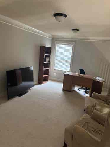 SEEKING THE PERFECT ROOMATE