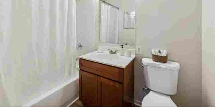 Looking for person for rent
