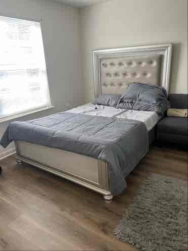 Looking for person for rent