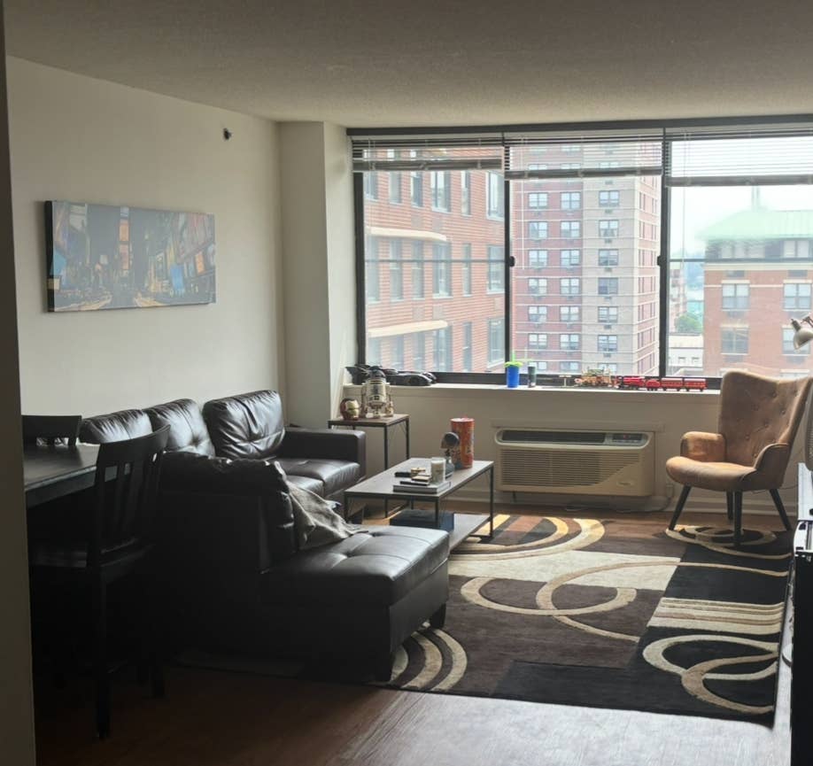 Looking for a New Roommate