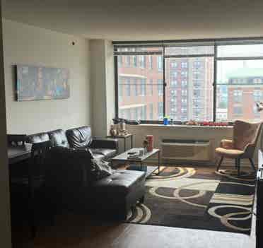 Looking for a New Roommate