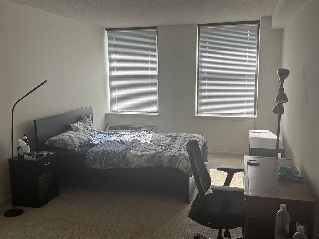 Looking for a New Roommate
