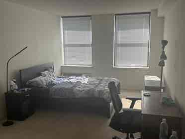 Looking for a New Roommate