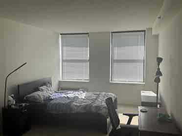 Looking for a New Roommate